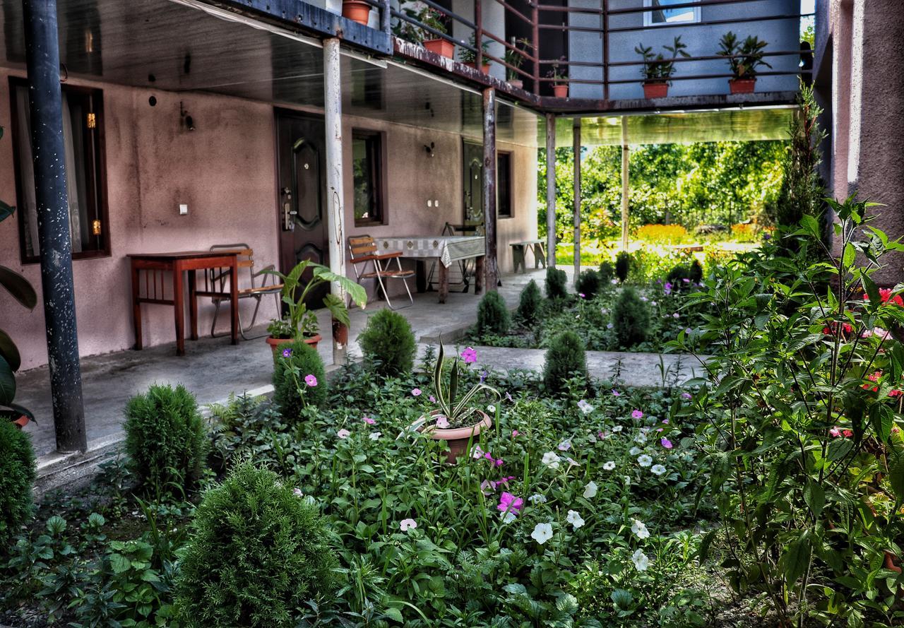 Hotel The Kiwi House Lagodechi Exteriér fotografie